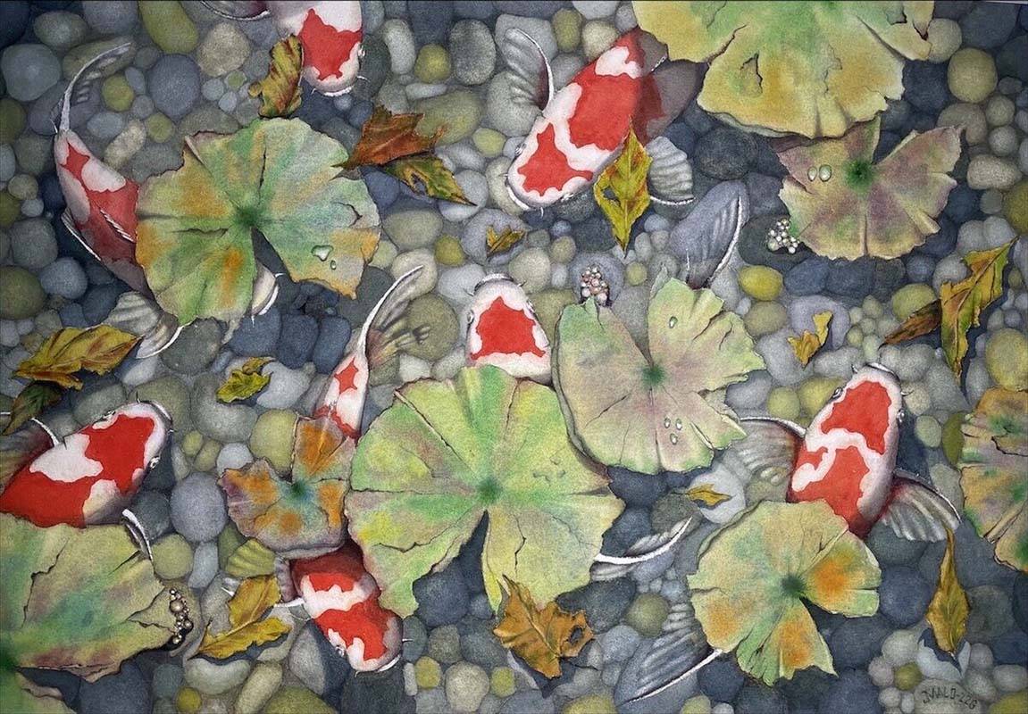 Maloney_J_Koicophony Koi-cophany, Audubon Artists Silver Medal of Honor by Jim Maloney
