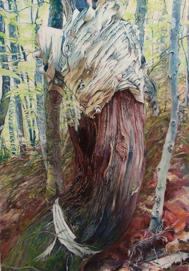 Hanson_J_Headdress_R7NPK Audubon Artists Gold Medal of Honor in Pastels by<br />
Joyce Hanson for<br />
'Headdress'