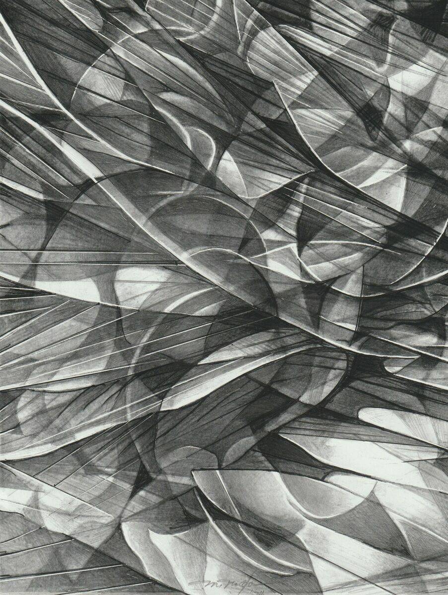 Fluctuation by Masaaki Noda, Honorary Audubon Artists Silver Medal of Honor in Graphics  