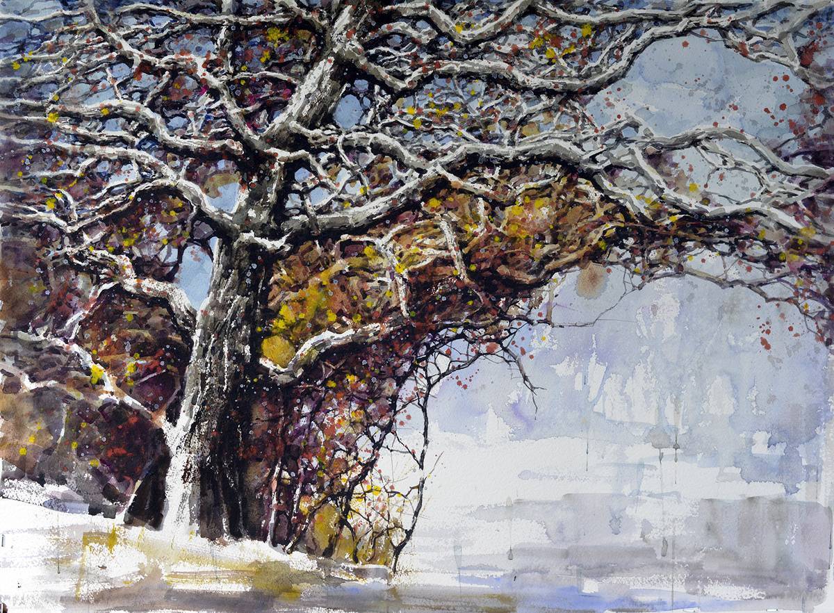 Audubon Artists Silver Medal of Honor in Aquamedia $300 & Medal