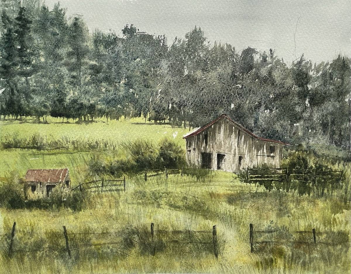 Hella Bailin Honorary Memorial Award for Impressionistic Landscape $250   