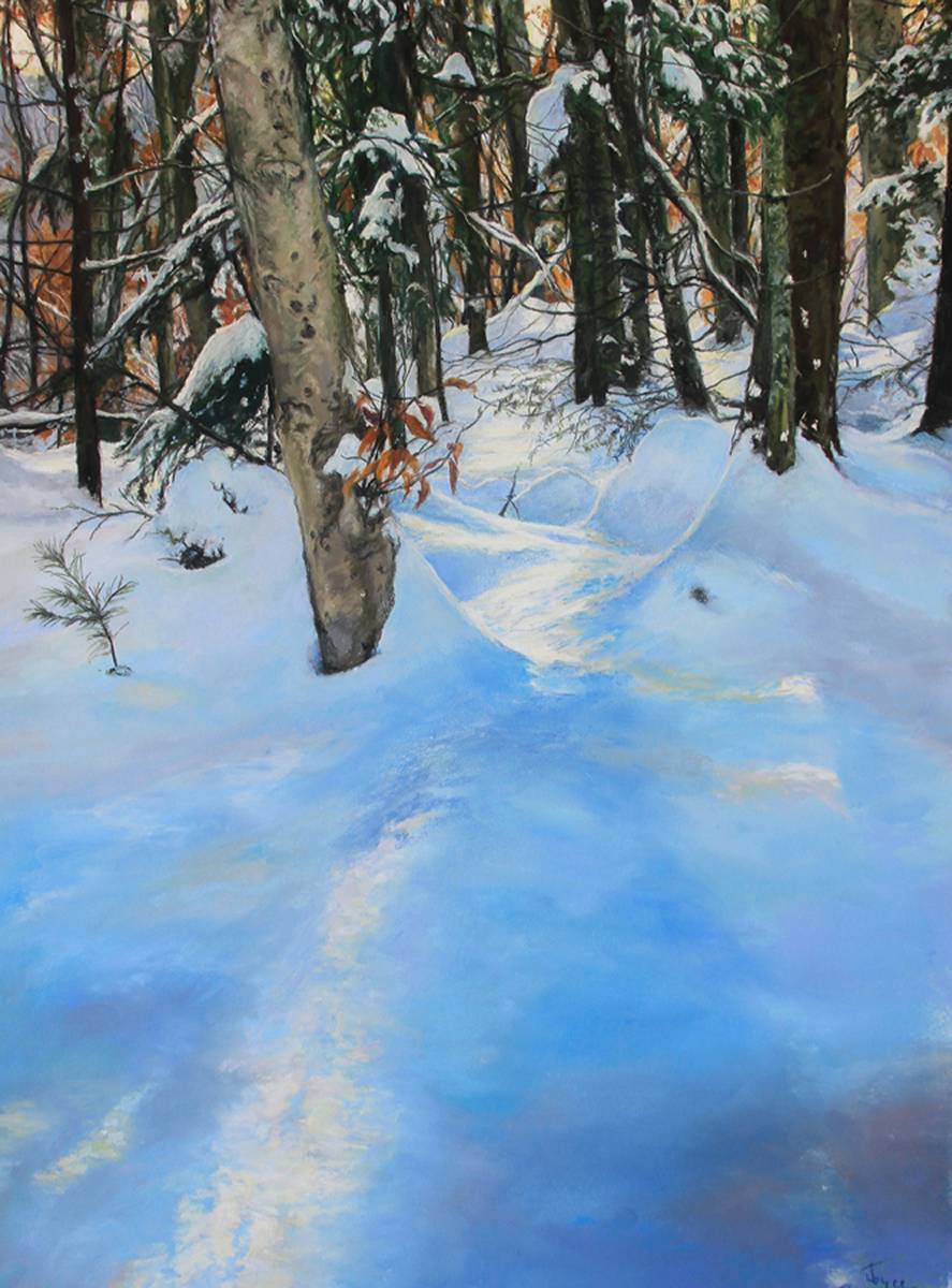 Art Spirit Foundation/Dianne Bernhard Silver Medal in Pastels	               $300 & Medal 