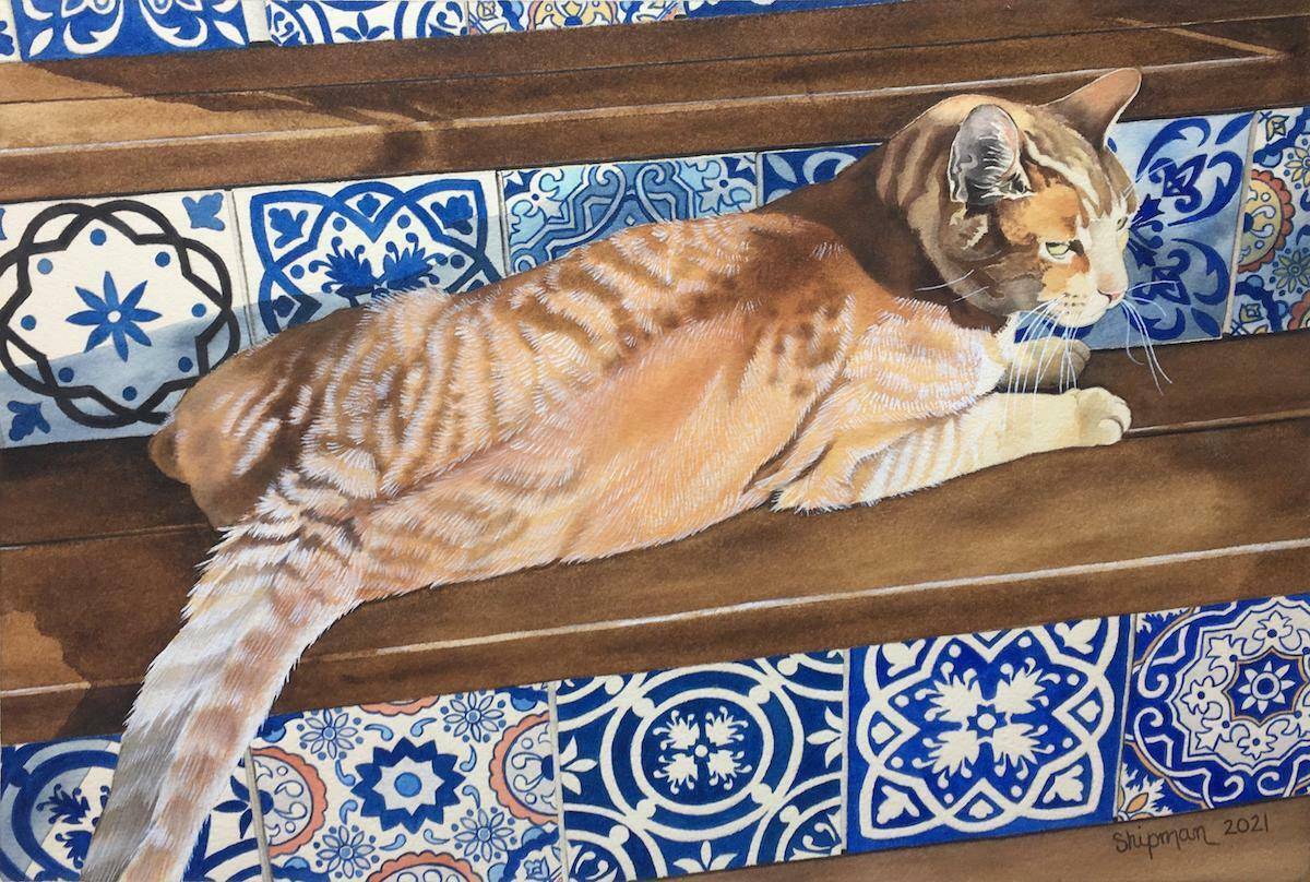 Honorary John M. Angelini Memorial Award in Aquamedia       $500