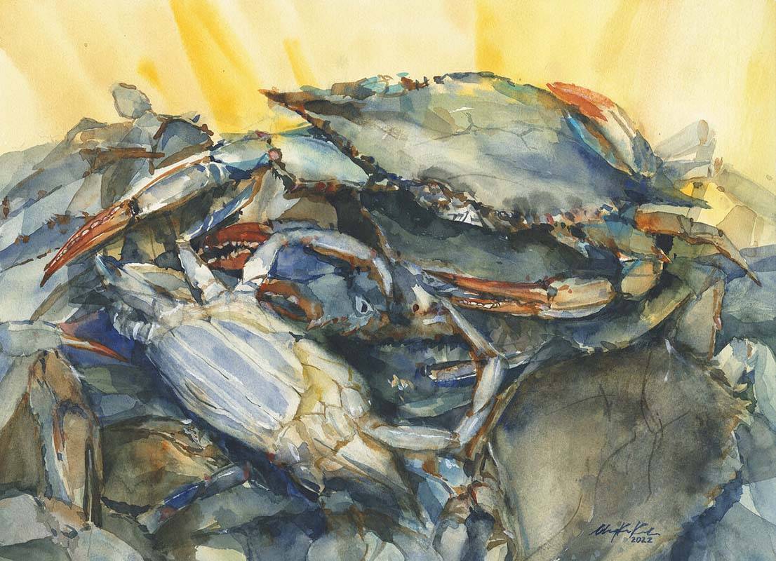 Frank Webb Memorial Award in Aquamedia ($250)