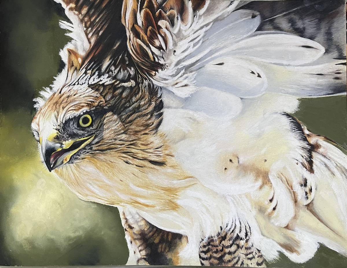 Michael Engel Audubon Artists Founders Award in Collage & Mixed Media $300