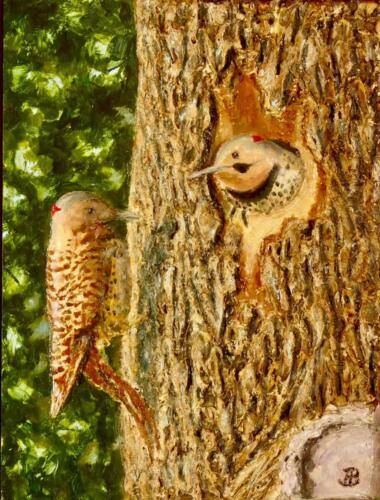 Northern Flickers, Oils/Acrylics