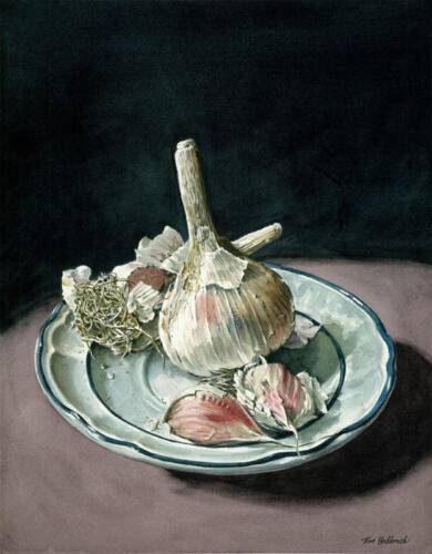 Three Cloves, Aquamedia