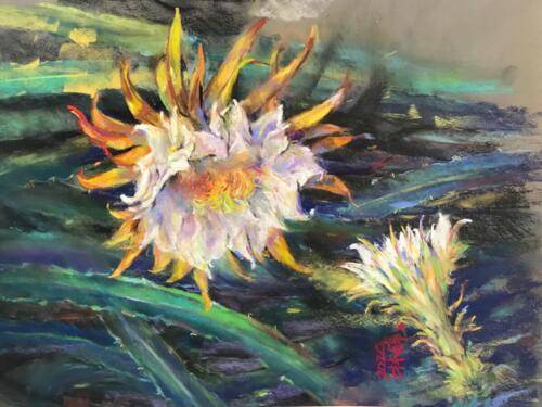 Flower of Dragon Fruit, Pastels