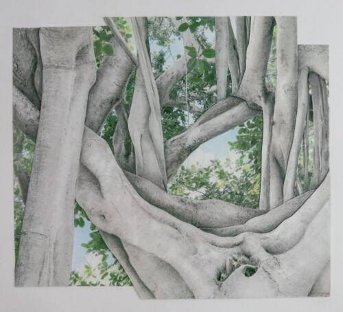 Banyan Space 300, CollageMM