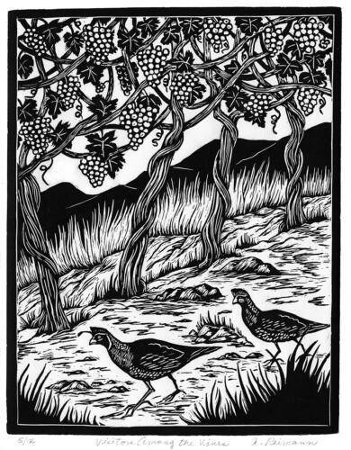 Visitors Among the Vines, Graphics