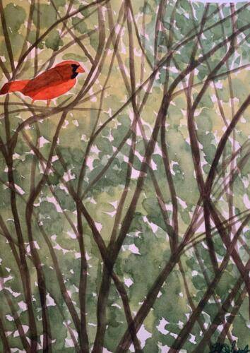 Solitary Cardinal in Summer, Aquamedia